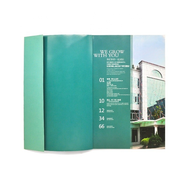 কাস্টমাইজড কালার পিকচার বুক প্রিন্টিং 4c+4c CMYK কালার আইএসও অনুমোদন